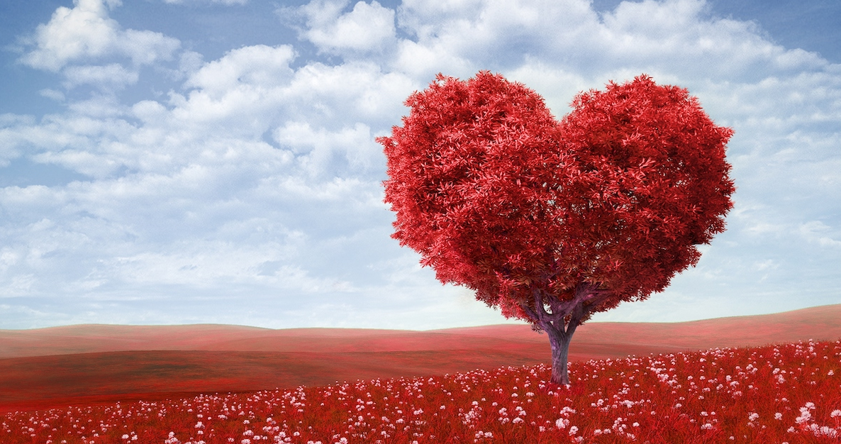 [Михаил Лабковский] Азбука любви к себе_ учимся се_0.png